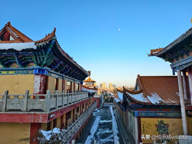 新疆乌鲁木齐红光山大佛寺