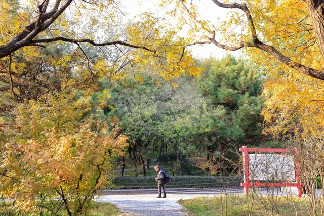 藏不住的惊艳！这座公园正处颜值巅峰