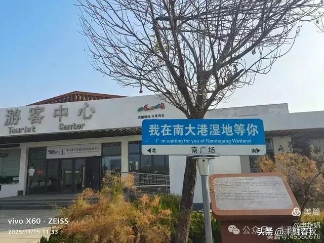 苇风载秋，鹤影映波——河北黄骅南大港湿地的初冬漫游｜ 申艳娟