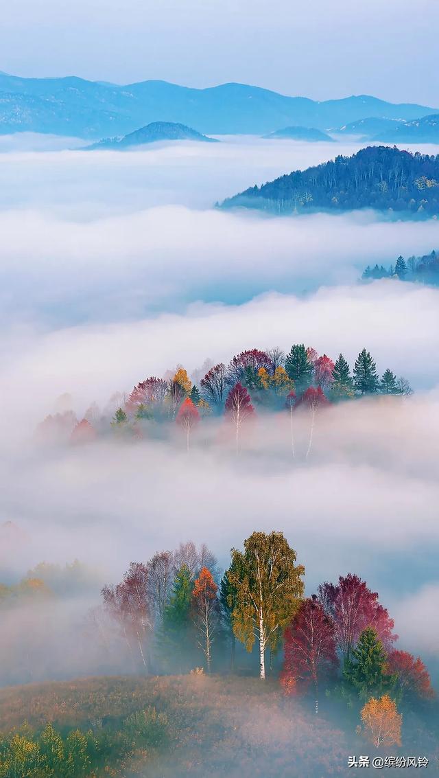 晨雾如纱，轻轻缠绕着远山近林