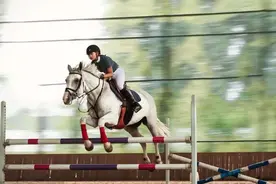 奥运会唯一不分男女的比赛项目是它图片