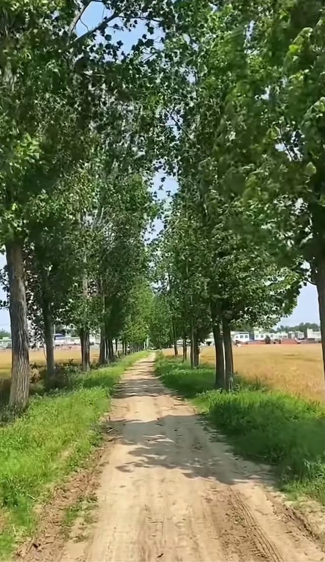 缁胯壊鎶ょ溂澹佺焊缇庡浘