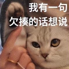 128GB 手机退休上热搜！网友：这版本纯恶心人...