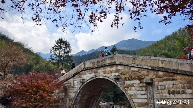 蓝山谷记：与十万株红枫的相遇