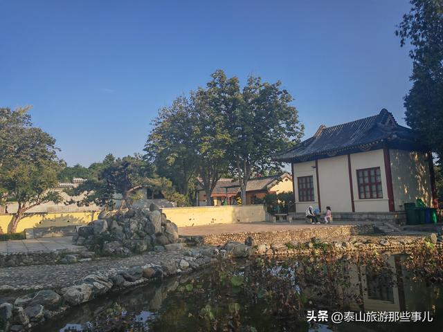 泰安：有一个城市园林，藏着1 眼泉水流芳千年，30个品种 600 盆秋菊