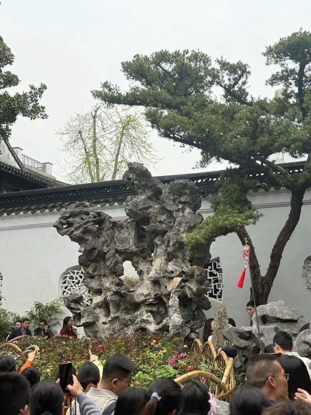 苏州十大必去景点全攻略:在古典园林中邂逅江南韵味