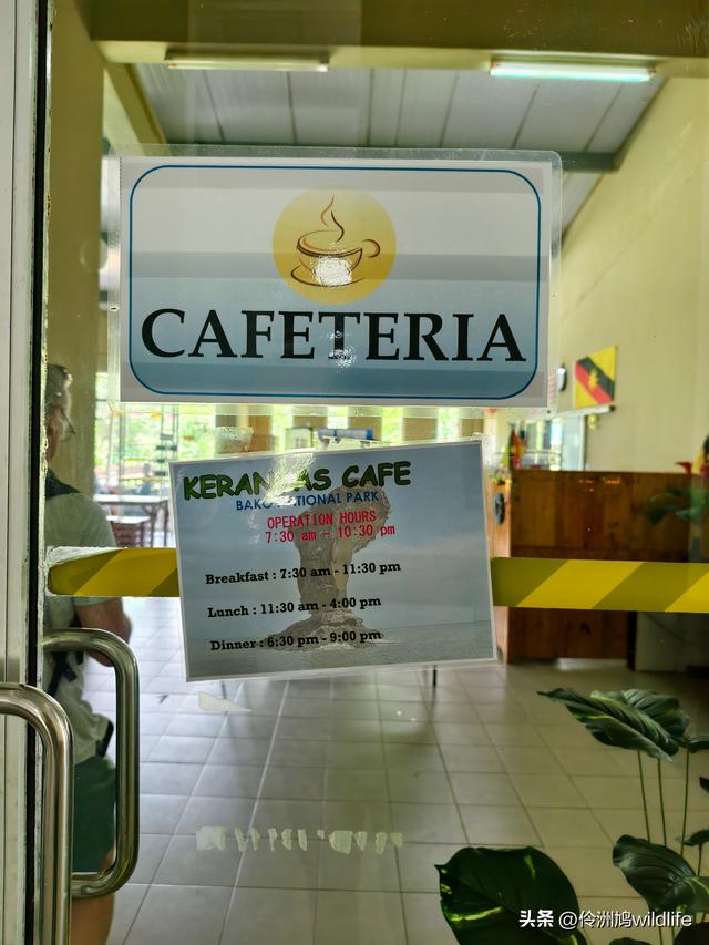 马来西亚(35)砂拉越州⑨峇哥国家公园徒步线路