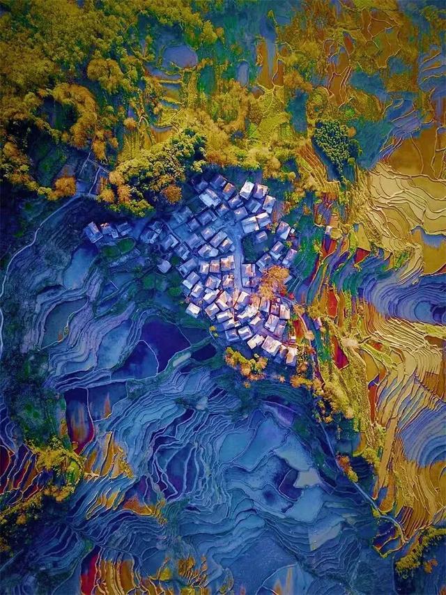 周年限定！快来阿者科当一天“哈尼公主”