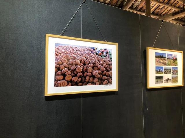 走！周末就要去韶关这些“老地方”!