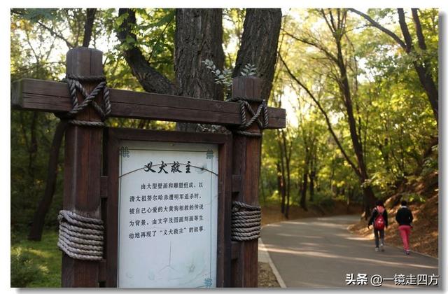 沈阳东陵郊野公园“精灵”出没