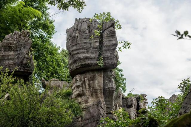 万盛石林,大自然的奇幻之旅
