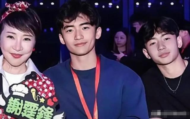 狐狸尾巴藏不住，撒谎成性、风流潇洒的张柏芝，被陈晓东撕下体面