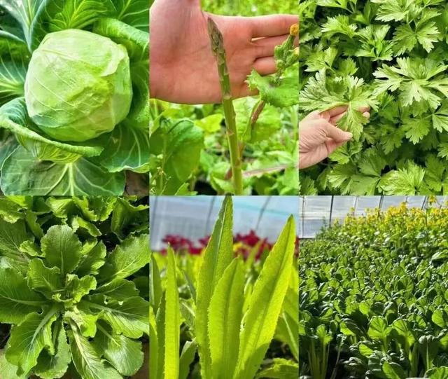 太全面了！8条游玩线路+京郊汤泉！带您玩转北京这里！（1）