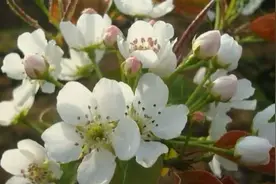 山东女子参加同学会，与8年前的初恋重逢，泪洒场面，遗憾的告别.图片