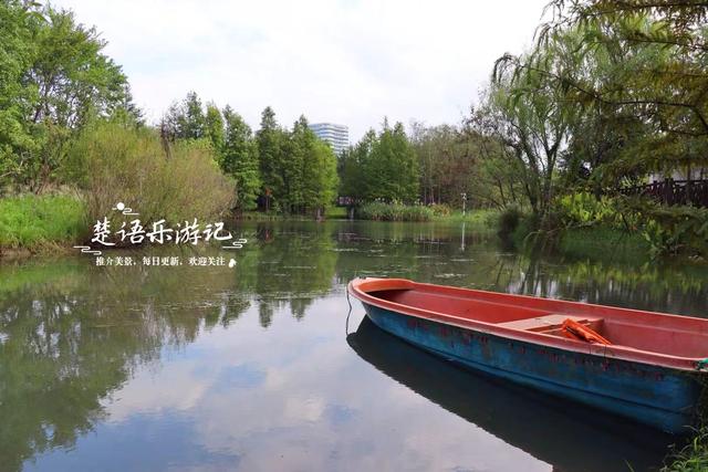 浙江宁波最受欢迎的粉黛园，其实没那么美，但周边的风景很值得游