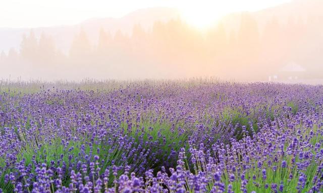 陕西没料到，河北也没料到，如今的中国河南省，已成为全国焦点