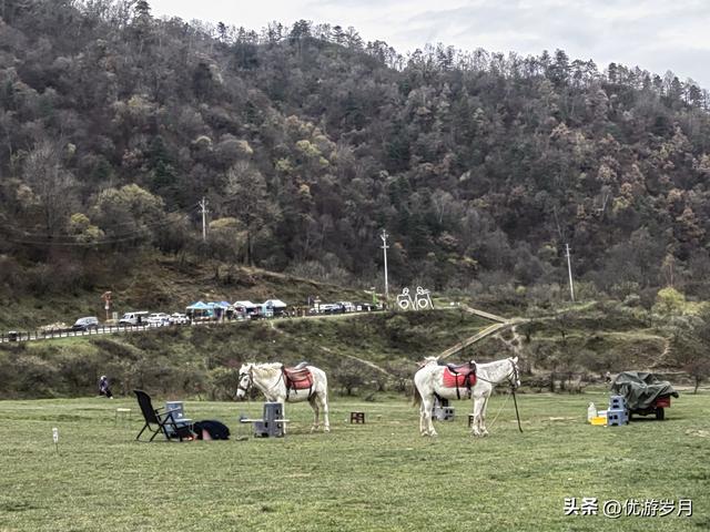 秦岭狮子沟牧场&牛奶湖