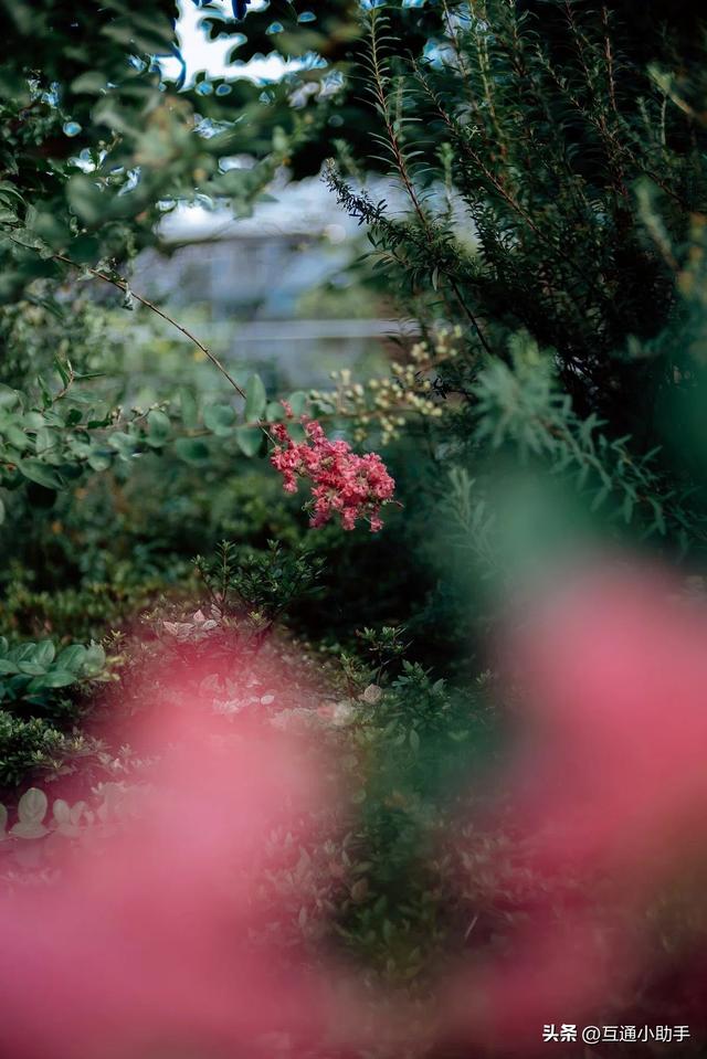 镜头评测|深光SG-image 35mm F0.95：用魔法般的虚化与光斑