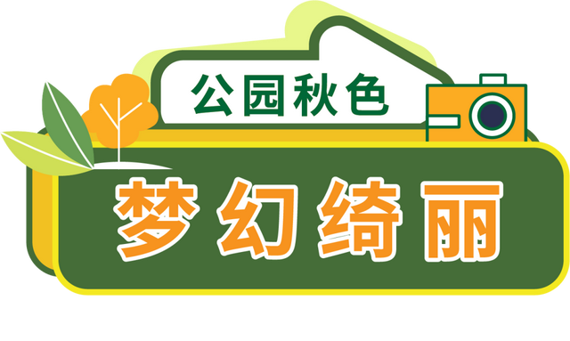 太原市迎泽区：赏在迎泽｜迎泽金秋景如春
