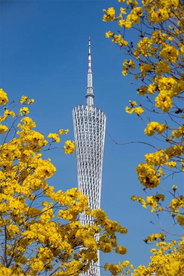 3 月旅行地推荐！这17 个地方春暖花开美到不像话，第一个直接心动