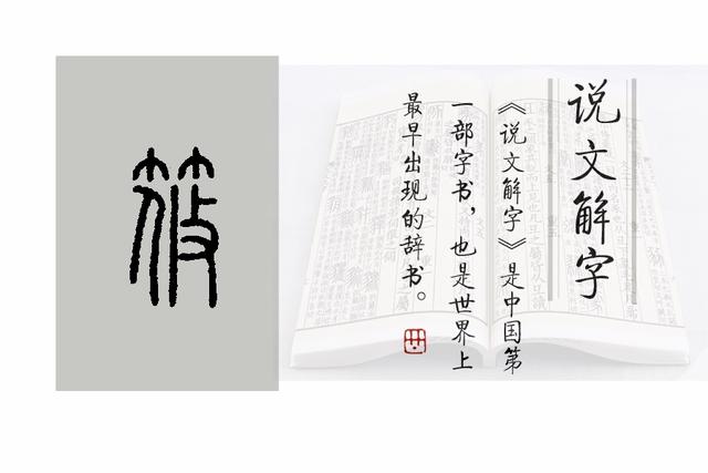 《说文解字》第932课：“箭竹”的几个别名