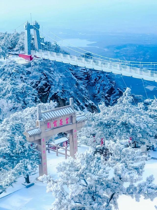 山东冬日奇观即将陆续上演，冰雪里的自然史诗等你解锁！