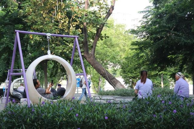 20℃+！出发，去元阳过冬🤩