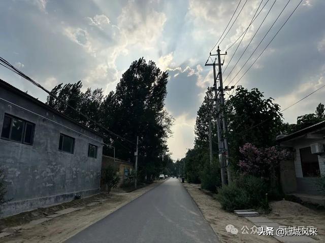 冠县乡韵·辛集镇崔刘八寨