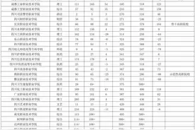 2025四川高职排名大洗牌，黑马狂飙老将跌落，谁在幕后操盘？图片