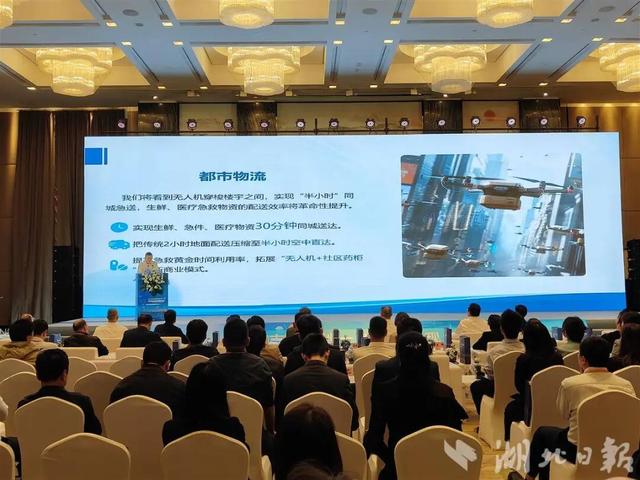 武汉33条低空航线获批