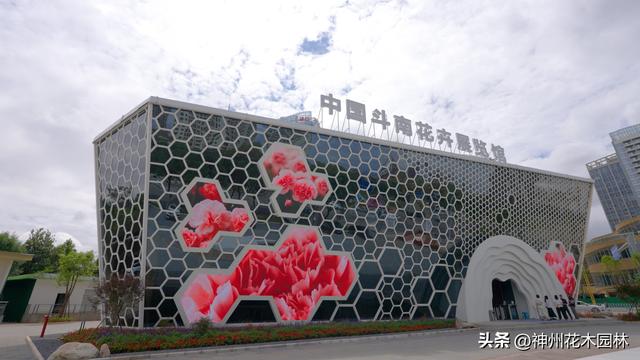 斗南花卉展览馆揭幕：全面展现从“花街”到“花都”的华丽蝶变