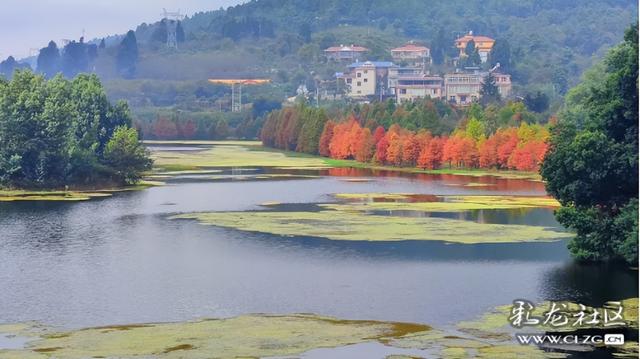 山水入画秋意来