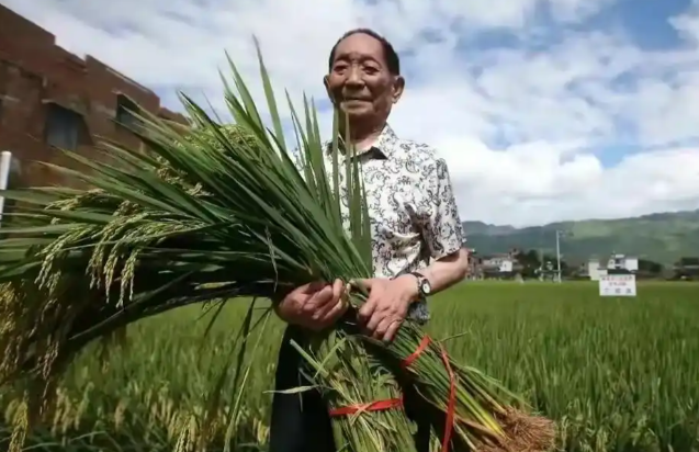 央媒通报！又一间谍行为曝光，作案手法阴险，粮食安全受威胁