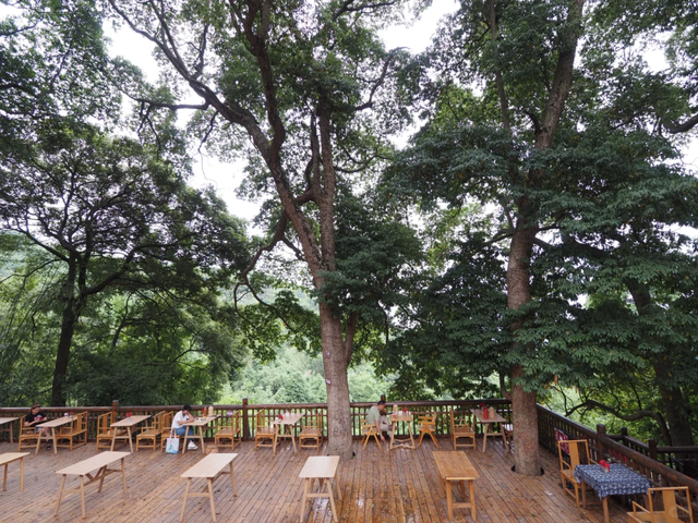 彭州法藏寺||斋饭、喝茶、书法、轻徒步，周末一日游超巴适