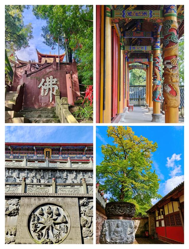 冷门！成都1h可达的龙脊古道徒步路线，人少景美，快冲！