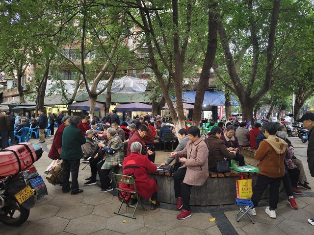 南行漫记：不去内江，直奔隆昌，看中国最大的牌坊群