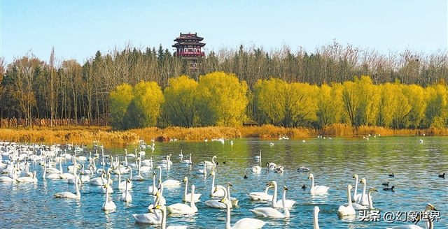 三门峡隐藏款攻略！外地游客必看的吃喝玩乐秘籍