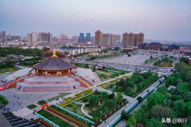 唯有洛阳，能让牡丹不只是花，而是历史本身