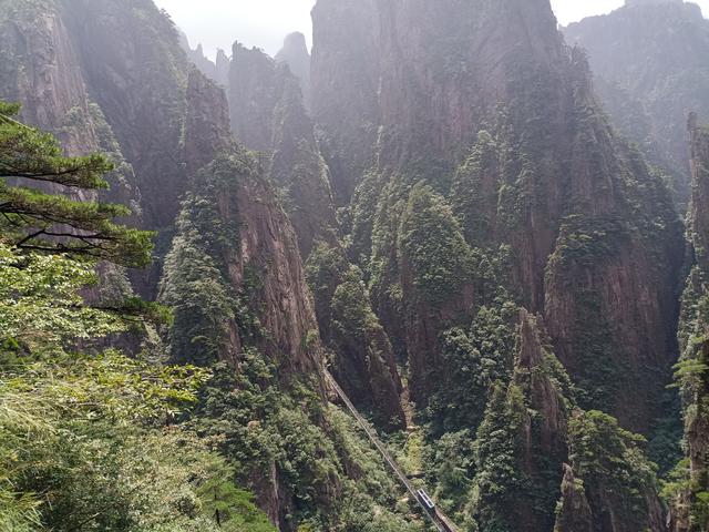 黄山一日游：在奇景与人心间丈量性价比