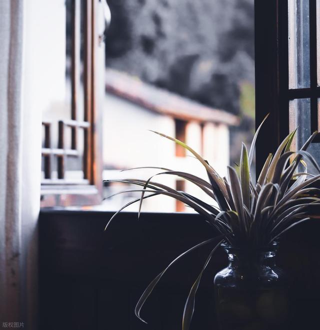 河源景点排行榜，广东河源最值得去的6个好玩景点，你去过几个？