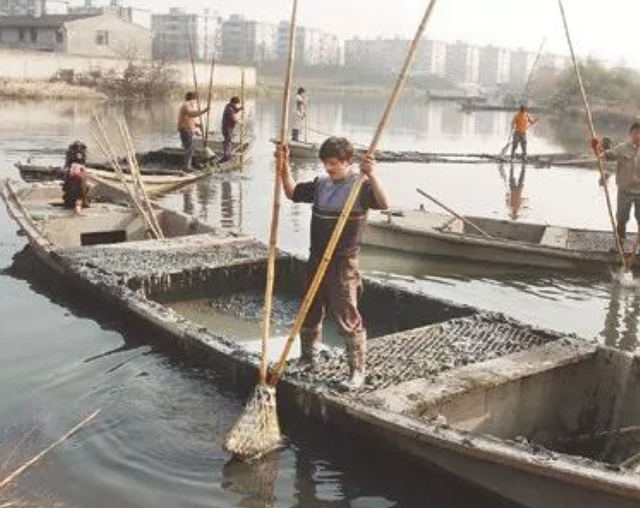 1956年，毛主席接见徐州地委书记时突然问：“四”加“南”读什么