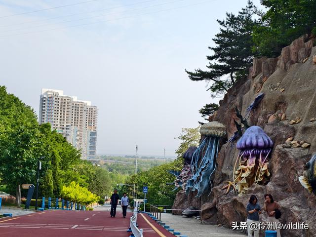 大连海之韵公园·棒槌岛