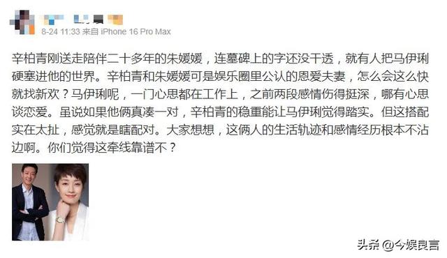 辛柏青丧妻刚满100天，恶心的事就发生了，被撮合娶马伊琍引争议