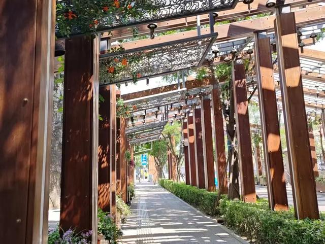 “花漾”漫染千年古道!模式口以繁花织就京西生态人文画卷