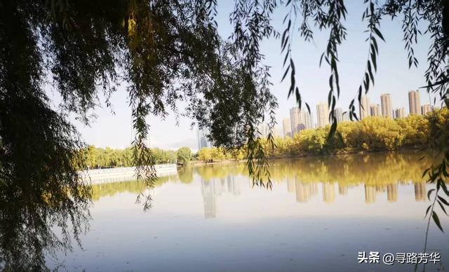 徘徊亦留恋的濑溪河畔