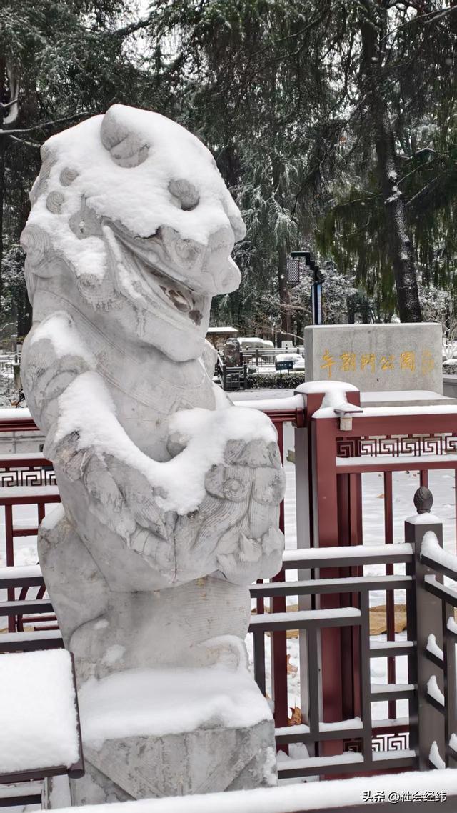 每日一景|大寒雪落金陵 明故宫梧桐披银 市民漫步享冬日诗意