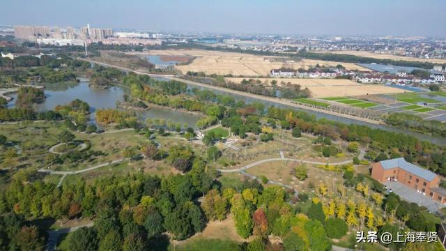 山河入秋，奉城尽染！