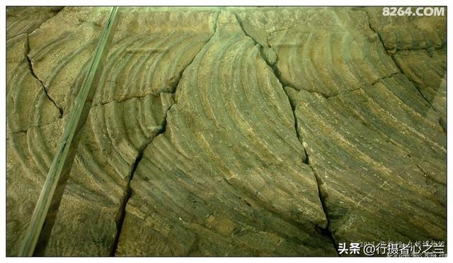 山东行游影记（36）—平邑天宇自然博物馆（十一）