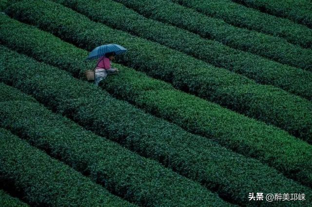 看完《山水间的家》，一人说一个爱上夹关镇的理由！