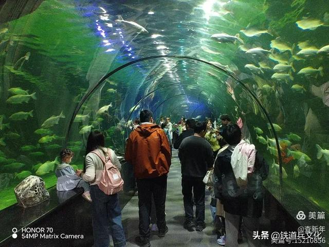 查新年||首次游览曲江海洋馆